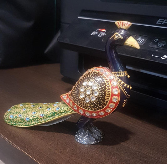 LONG PEACOCK
