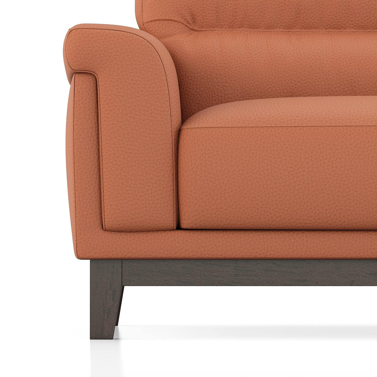 Modern 2-Seater Sofa with Plush Cushioned Backrest-Shivora Crafts